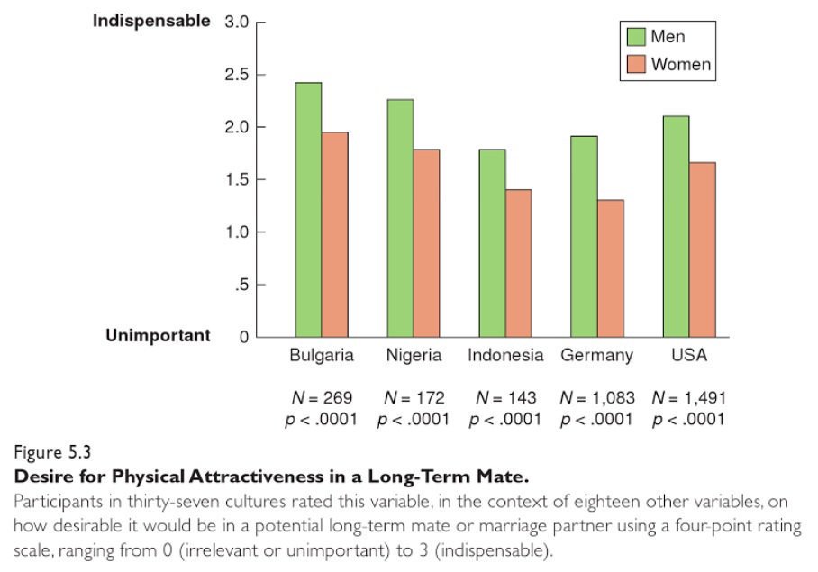 Desire for physical attractiveness in a long-term mate.jpg