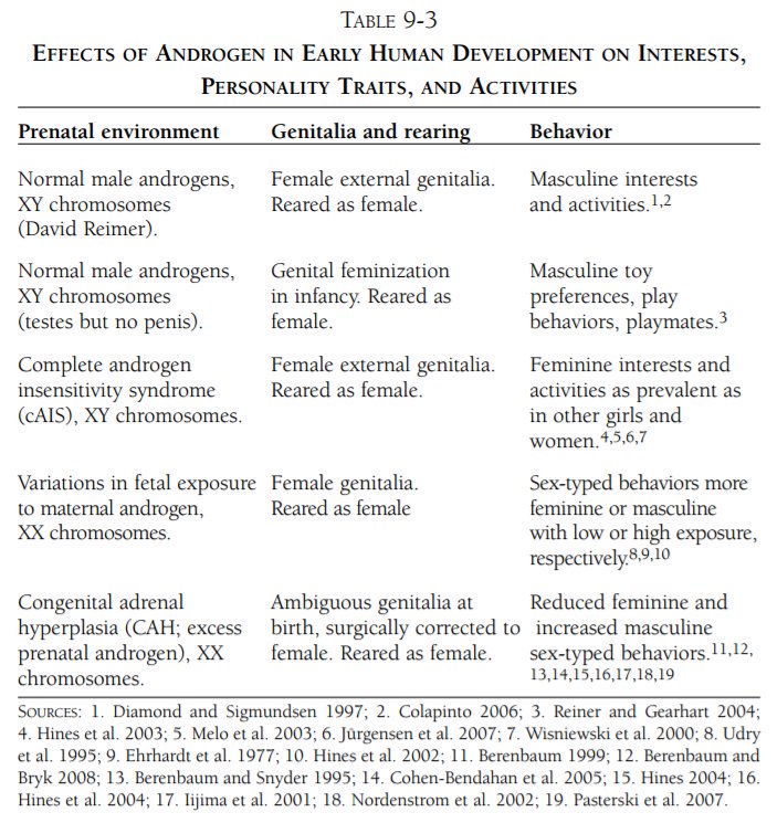 Effects of androgen in early human development on interests, personality traits and activities.jpg