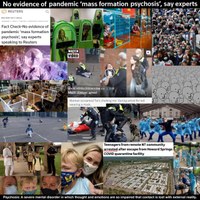 "No evidence of mass formation psychosis", fact-checkers say